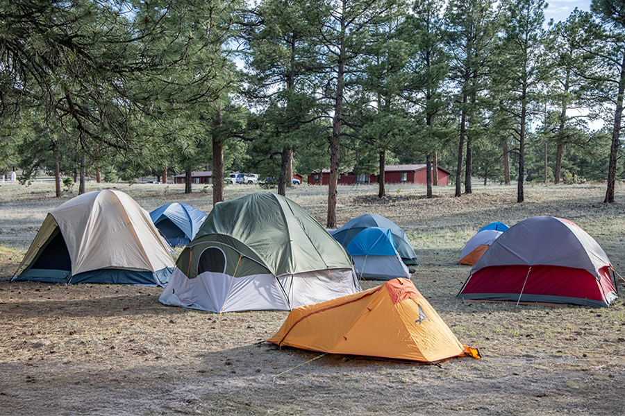 Camping in the Gila Mountains