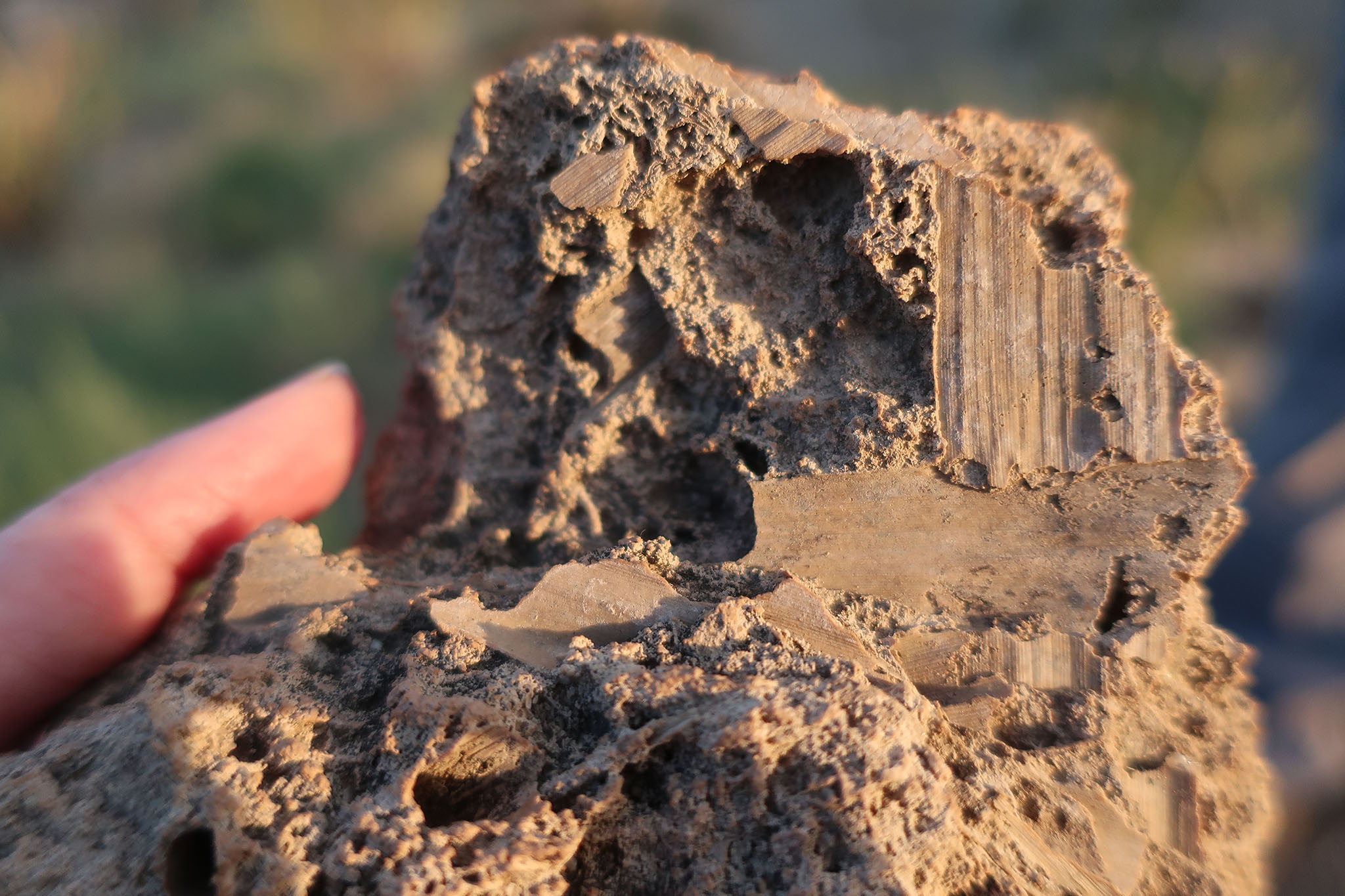 close-up picture of burned adobe